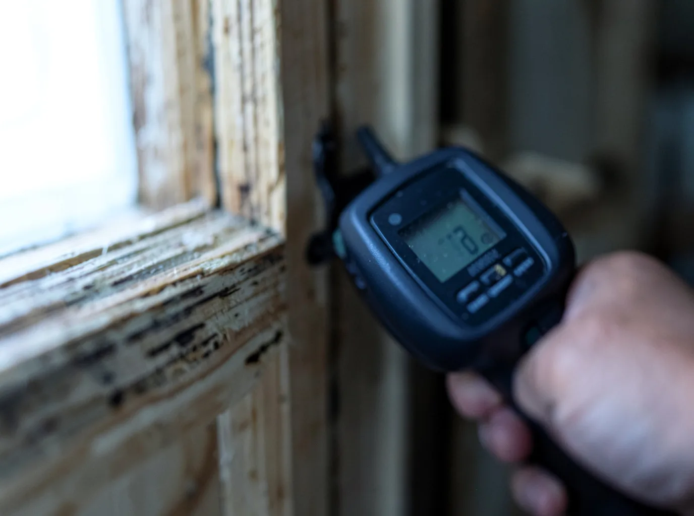 Moisture Inspection And Documentation in Alvaton, KY